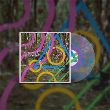 Vinyl And Everybody Else Smiled Back Book