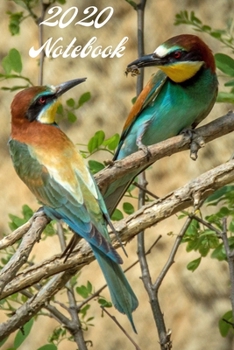 2020 Notebook: A5 (6 x 9 Inches) Notebook Journal Diary. High Quality Hand Writing Journal with 100 Pages