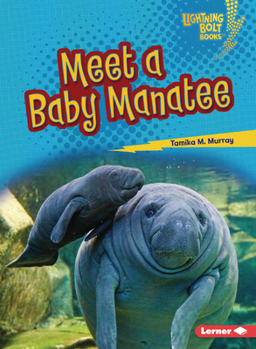 Paperback Meet a Baby Manatee Book