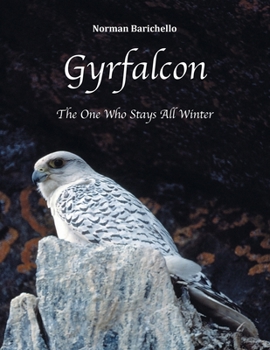 Paperback Gyrfalcon: The One Who Stays All Winter Book