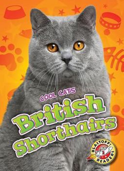 Library Binding British Shorthairs Book