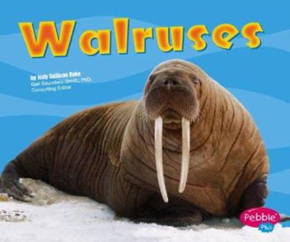 Hardcover Walruses Book