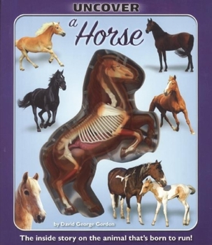 Hardcover Uncover a Horse Book