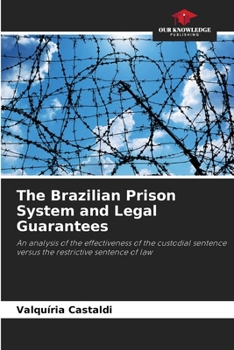 Paperback The Brazilian Prison System and Legal Guarantees Book