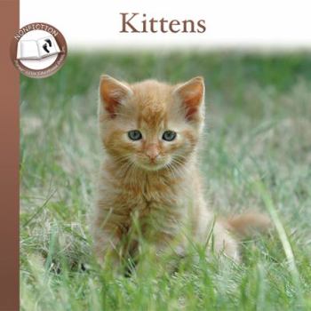 Paperback Kittens Book