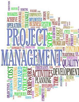 Paperback Project Management Notebook Book