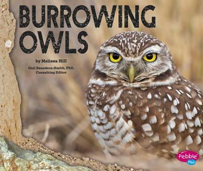 Paperback Burrowing Owls Book