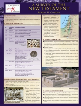 Spiral-bound A Survey of the New Testament Laminated Sheet Book