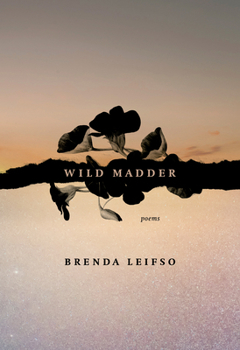 Paperback Wild Madder Book