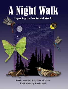 Hardcover A Night Walk: Exploring the Nocturnal World Book