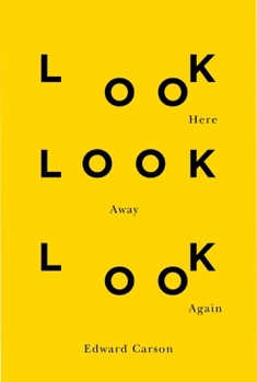 Paperback Look Here Look Away Look Again Book