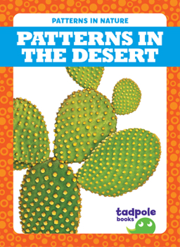 Paperback Patterns in the Desert Book