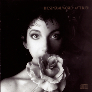 Music - CD Sensual World Book
