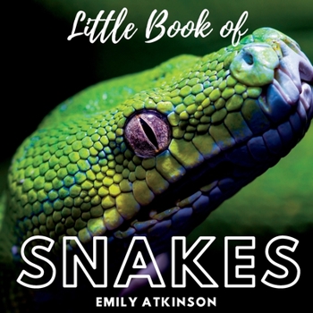 Paperback Little Book of Snakes Book