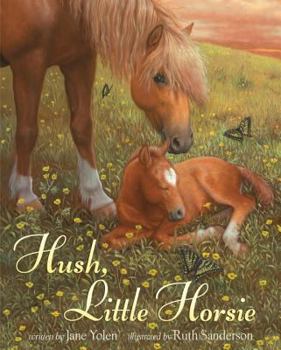 Hardcover Hush, Little Horsie Book