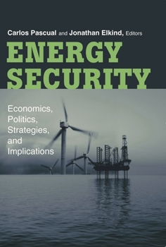 Paperback Energy Security: Economics, Politics, Strategies, and Implications Book