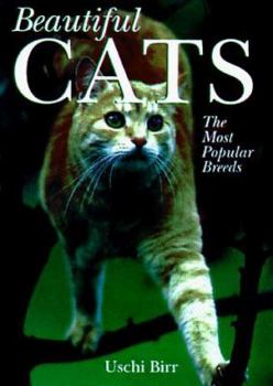 Paperback Beautiful Cats: The Most Popular Breeds Book