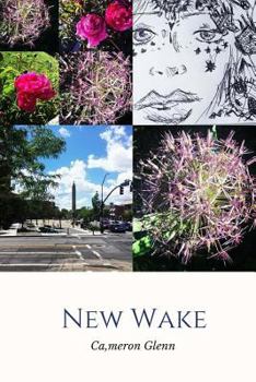 Paperback New Wake Book
