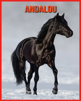 Andalou: Images Incroyables et Informations Amusantes concernant les Andalou