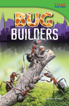 Bug Builders - Book  of the TIME For Kids en Español ~ Level 4