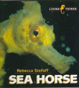 Sea Horse - Book  of the Living Things