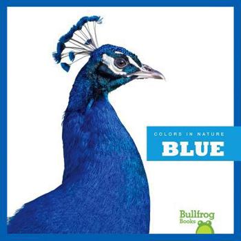 Hardcover Blue Book