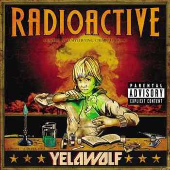 Vinyl Radioactive Book