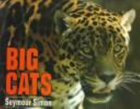 Hardcover Big Cats Book