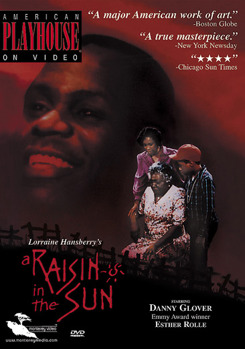 DVD A Raisin In The Sun Book