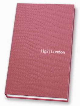 Paperback A Hedonist's Guide to London Book