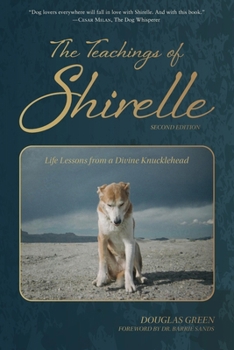 Paperback The Teachings of Shirelle: Life Lessons from a Divine Knucklehead Book