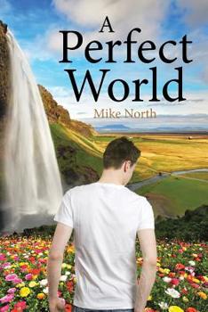 Paperback A Perfect World Book