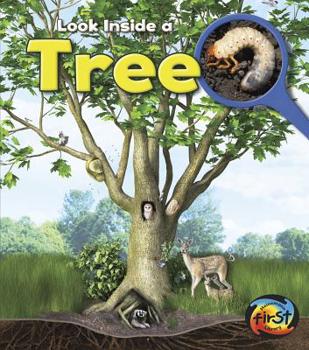 Look Inside a Tree - Book  of the Look Inside