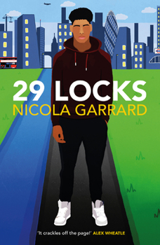Paperback 29 Locks Book