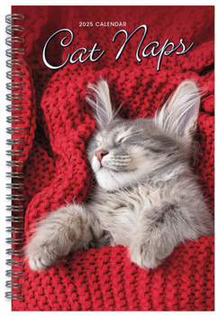 Calendar 2025 Cat Naps Engagement Book