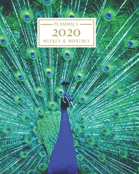 2020: Weekly and Monthly Planner/Calendar Jan 2020 – Dec 2020 Bright Colorful Peacock