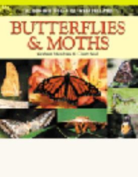 Paperback Butterflies & Moths Book