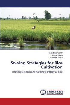 Paperback Sowing Strategies for Rice Cultivation Book