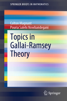Paperback Topics in Gallai-Ramsey Theory Book