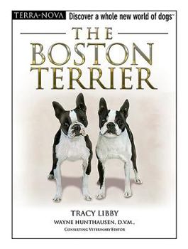 Hardcover The Boston Terrier [With Dog Training DVD] Book