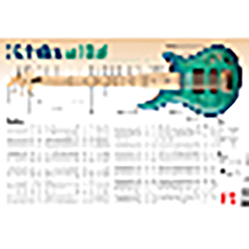 Paperback 5-String Bass Wall Chart Book
