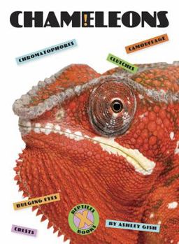 Chameleons - Book  of the X-Books: Reptiles