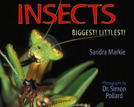 Hardcover Insects: Biggest! Littlest! Book