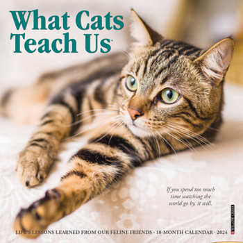 Calendar What Cats Teach Us 2024 7 X 7 Mini Wall Calendar Book