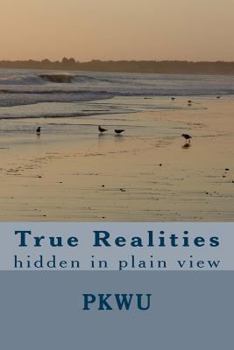 Paperback True Realities: hidden in plain view Book