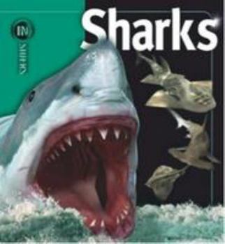 Paperback Insiders - Sharks Book