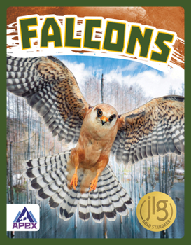 Library Binding Falcons Book