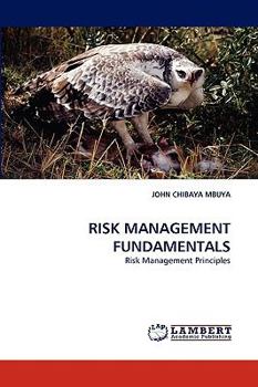 Paperback Risk Management Fundamentals Book