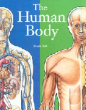 Paperback Human Body Book
