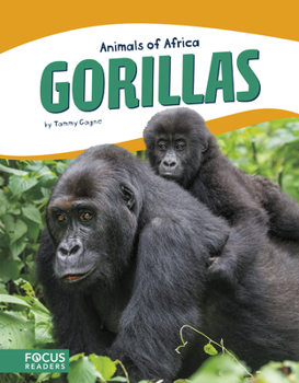 Library Binding Gorillas Book